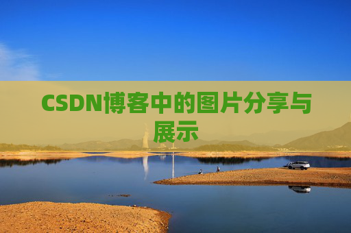 CSDN博客中的图片分享与展示